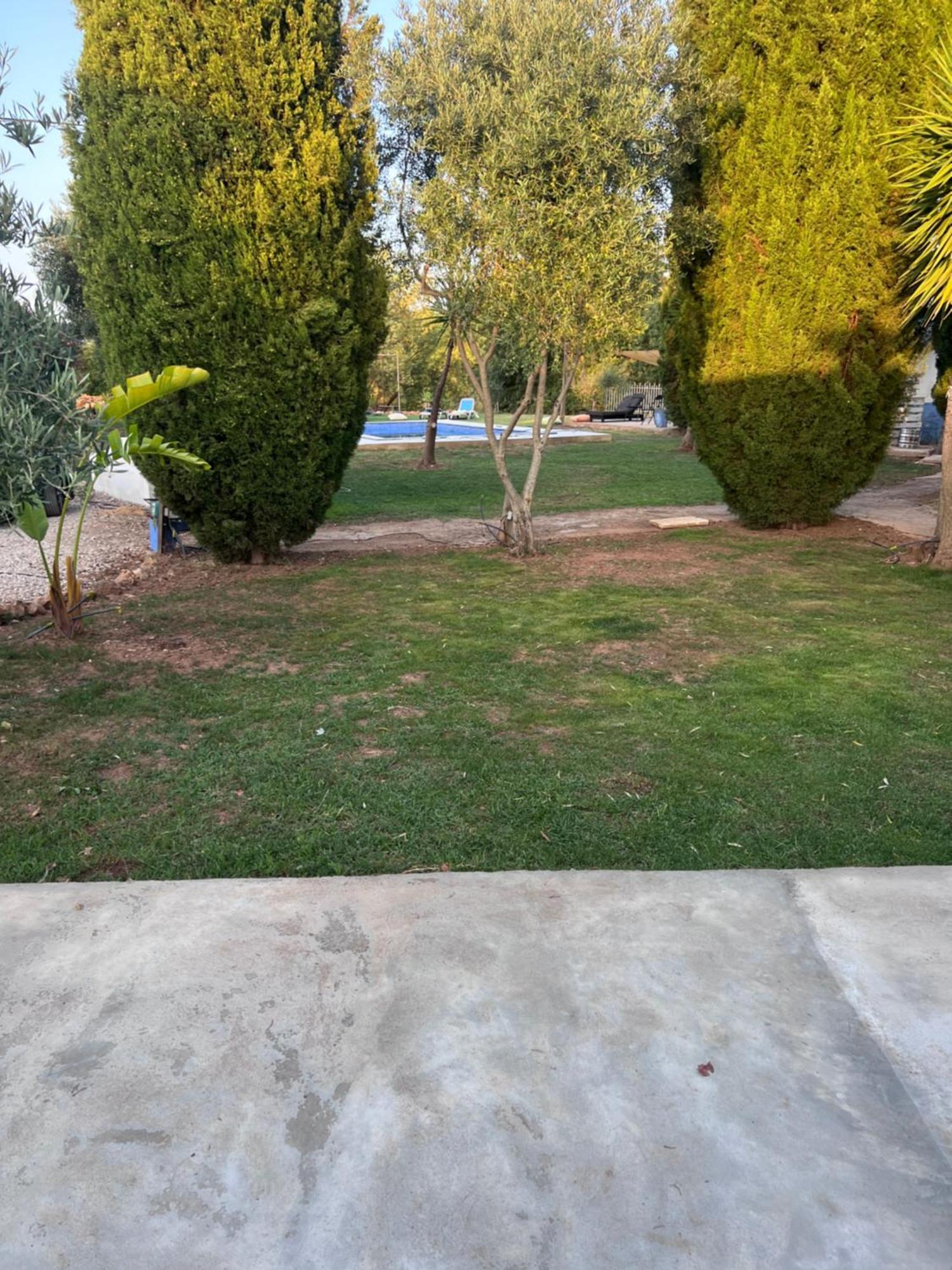 Casa Lourenco Silves Exterior photo